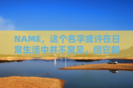 NAME，这个名字或许在日常生活中并不常见，但它却在某些领域里扮演着重要的角色。今天，让我们一起来探索这个名字背后的故事和意义